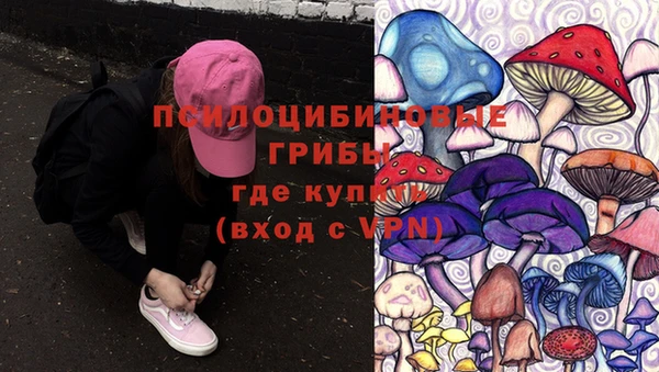 тгк Абинск